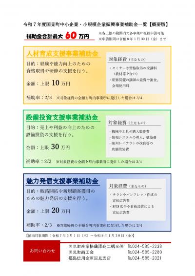 概要版（表）